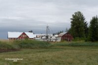 DSC04842